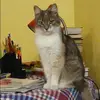 Отзыв от Алиса Селиванова